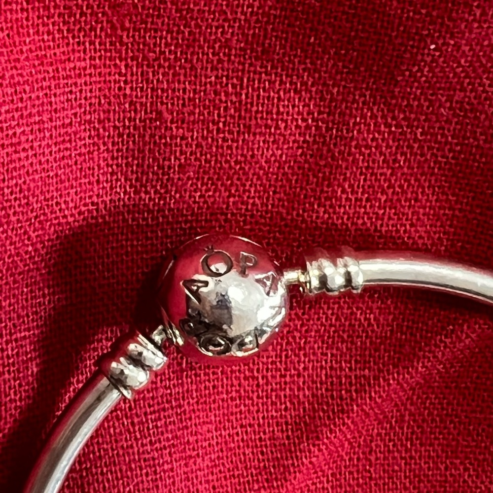 Pandora Unique As You Are Bangle - image 2